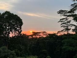 The Hillside (D21), Condominium #443993491